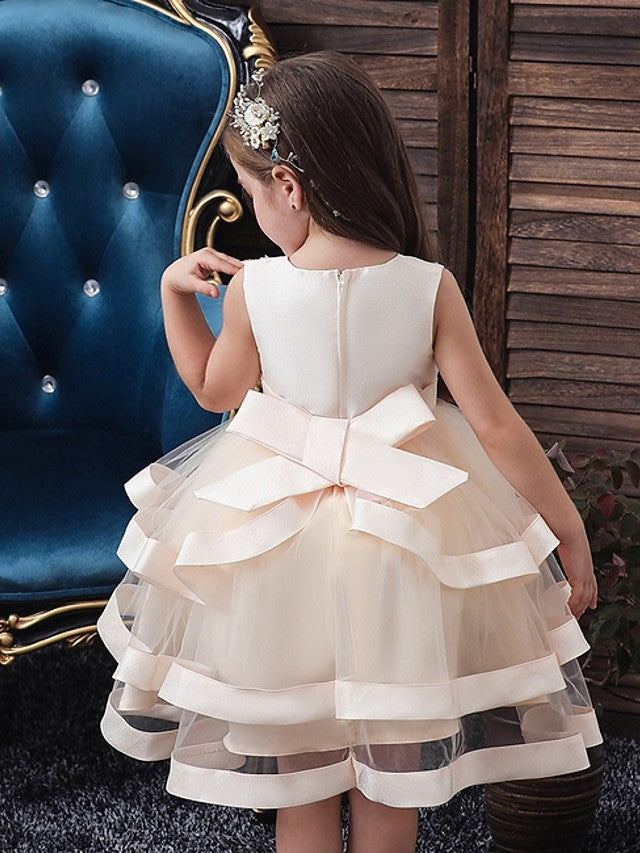 Beautiful Knee-Length Ball Gown Flower Girl Dress