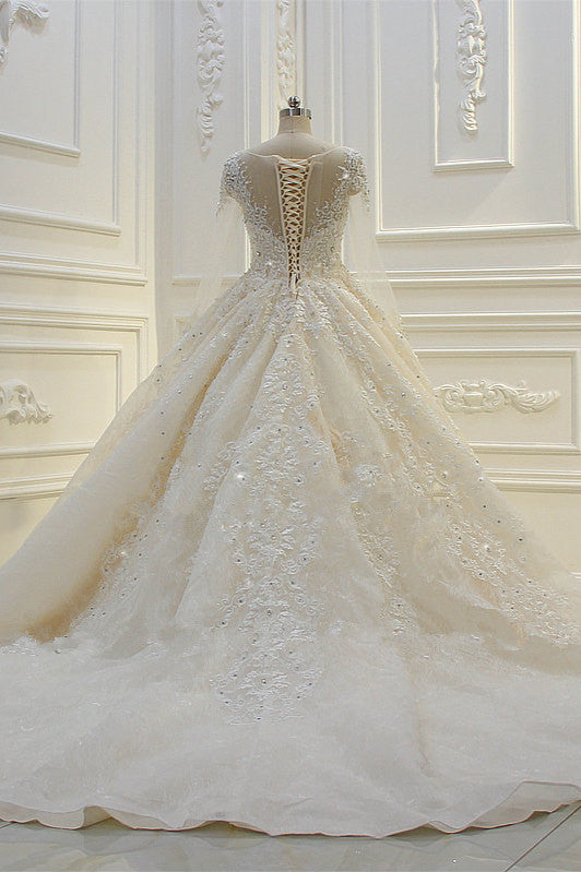 Bateau Long Sleeves Lace Appliques Ball Gown Wedding Dress