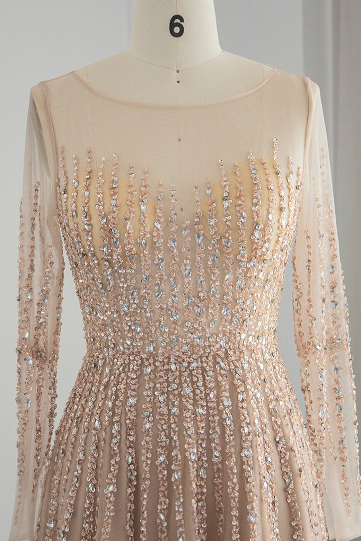 Chic A Line Prom Dress with Tulle and Appliques - Champagne Jewel Neck Long Sleeves