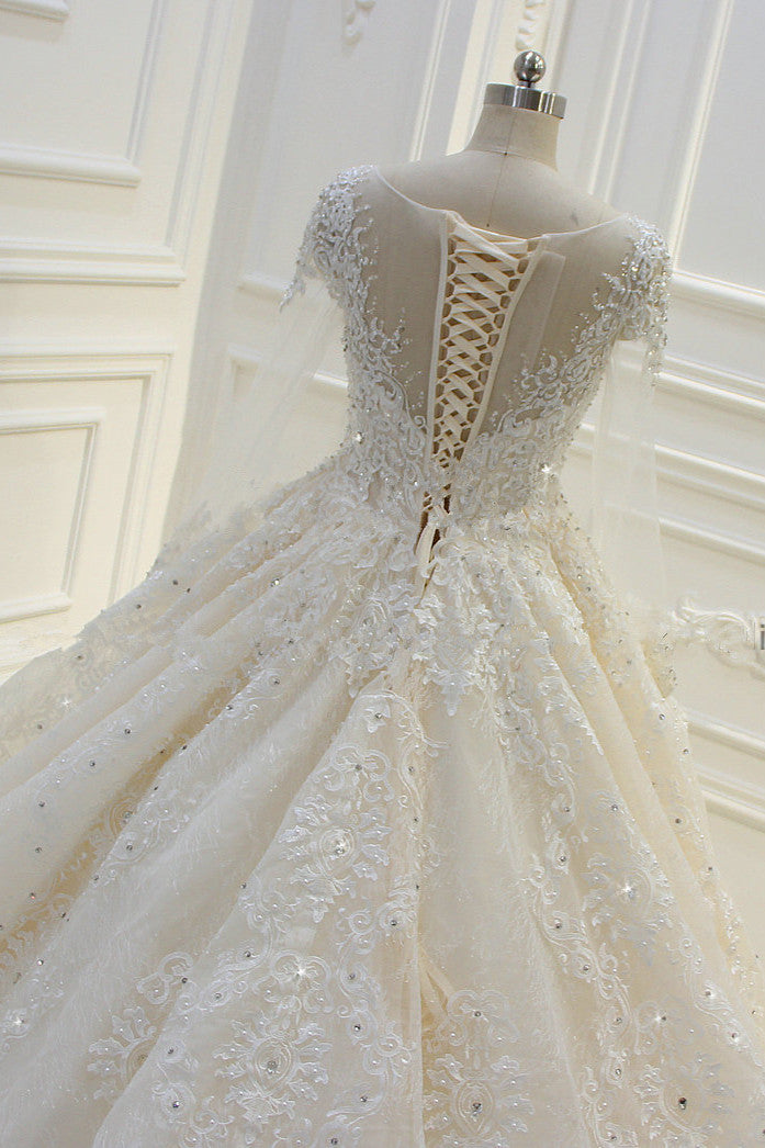 Bateau Long Sleeves Lace Appliques Ball Gown Wedding Dress